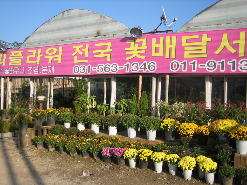 해피플라워 이미지