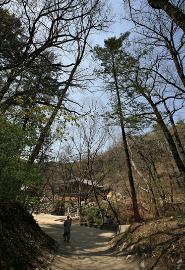 평촌리(하) 이미지