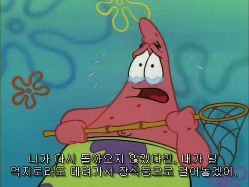 스폰지밥의 흔한 모에요소 | 인스티즈
