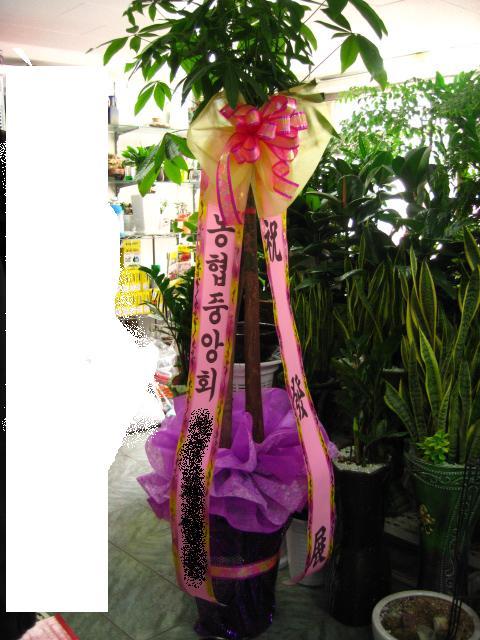영주꽃배달 이미지