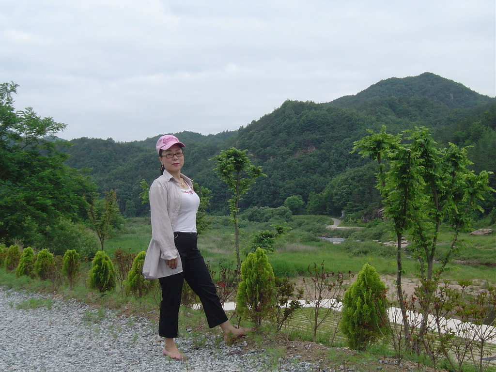 산천초목 이미지