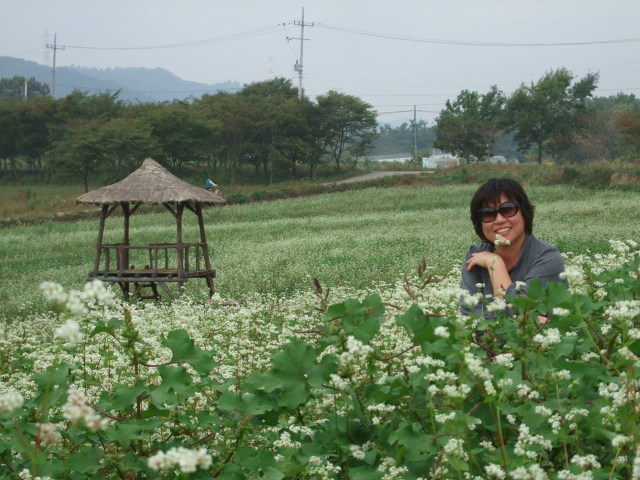 목포세발낙지 이미지