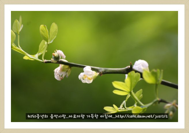 굼모닝 이미지