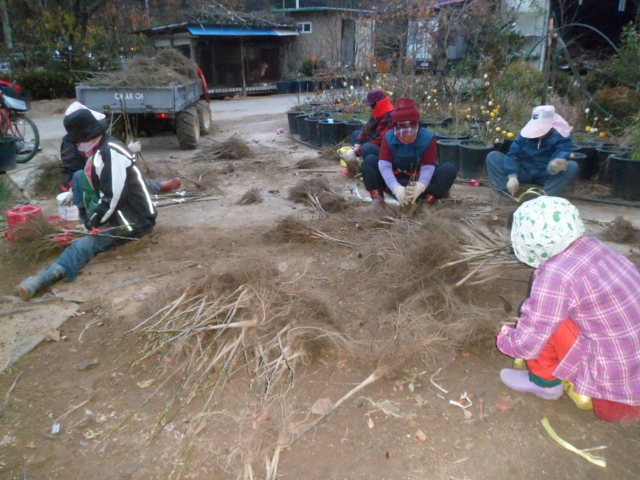 삼삼사 이미지