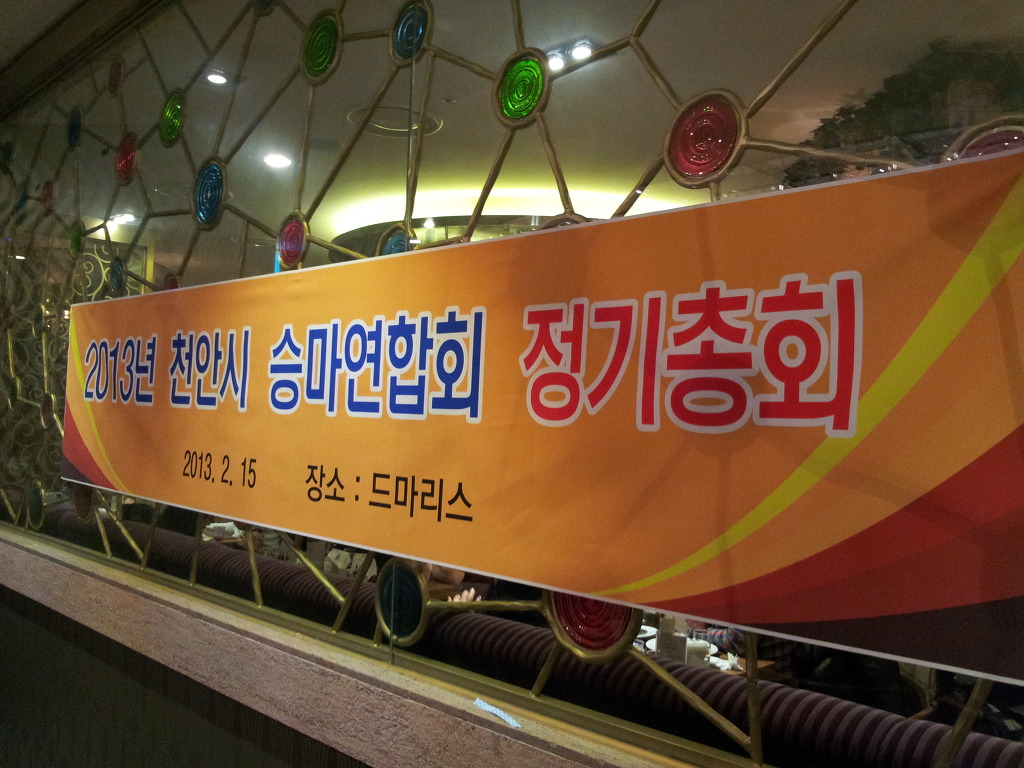 천안시승마협회 이미지