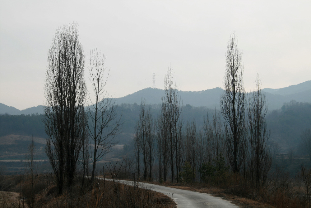 해순네 이미지