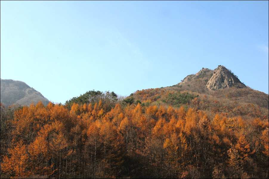 구봉산 이미지