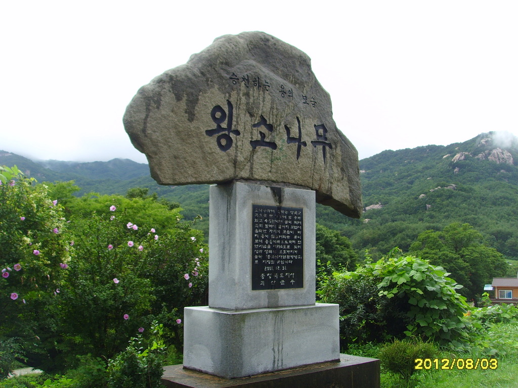 깊은산속옹달샘 이미지