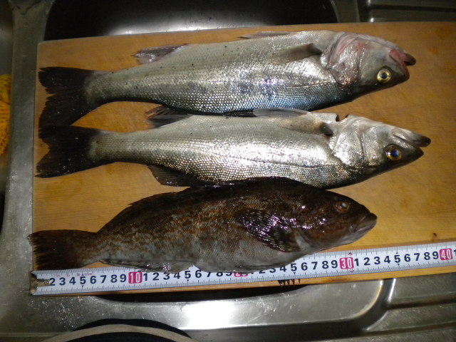 힛트방 이미지