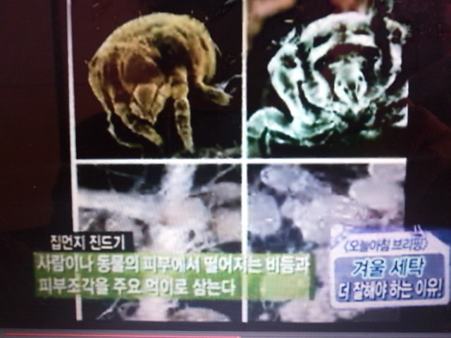 크린케어 이미지