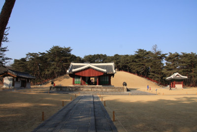 왕터 이미지