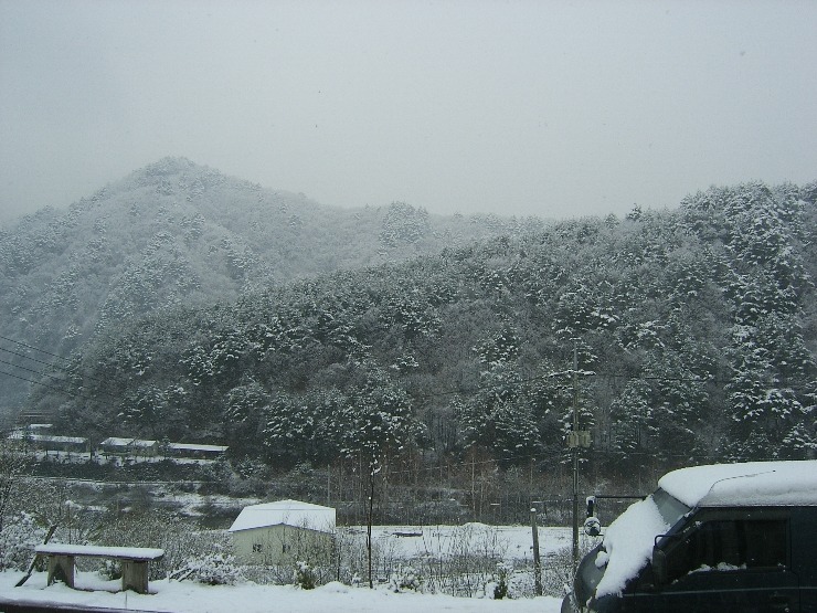 일경 이미지