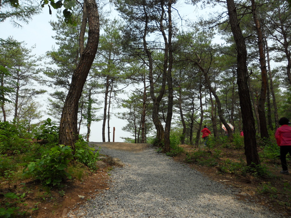 한반도뗏목마을 이미지