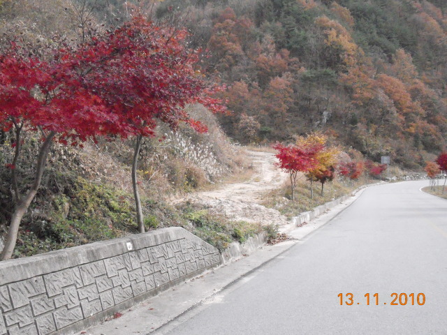 푸른환경개발 이미지