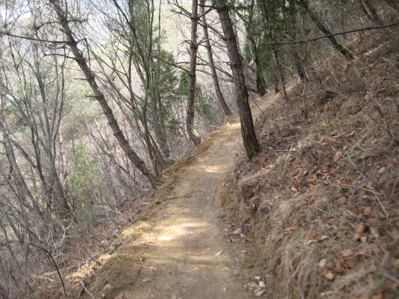 창원MTB 이미지