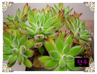 화월 이미지