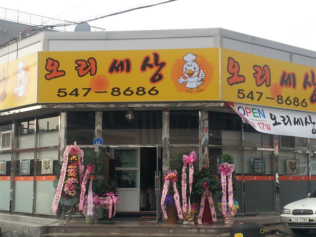 오리세상 이미지