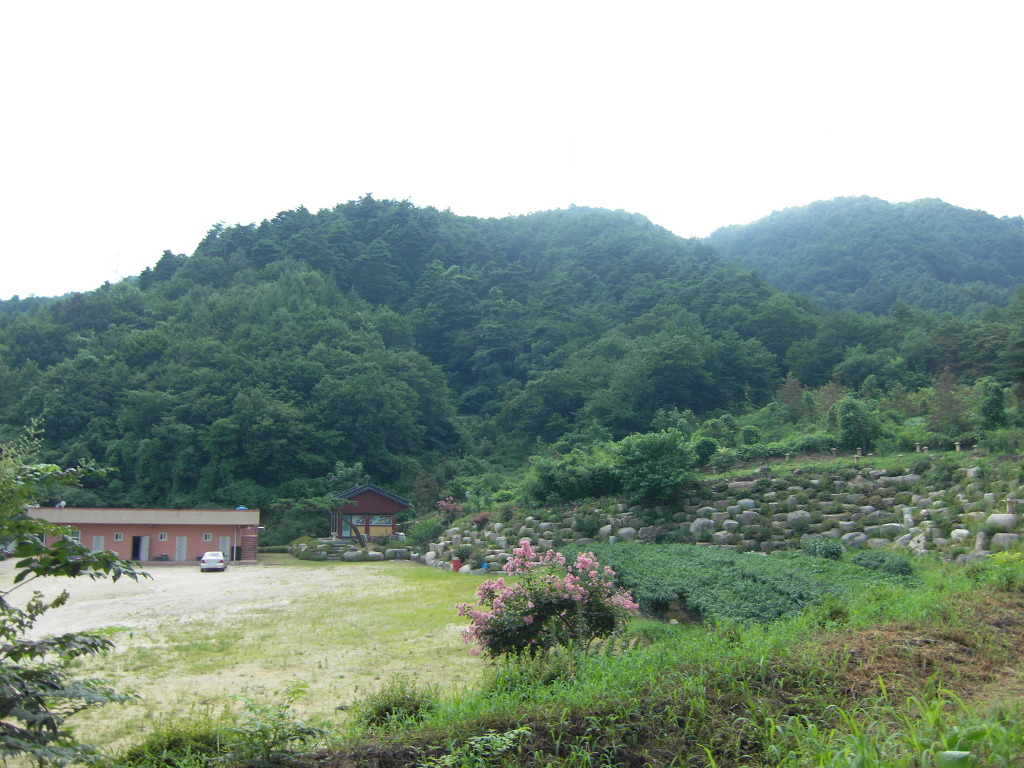 등로 주변 풍경 이미지