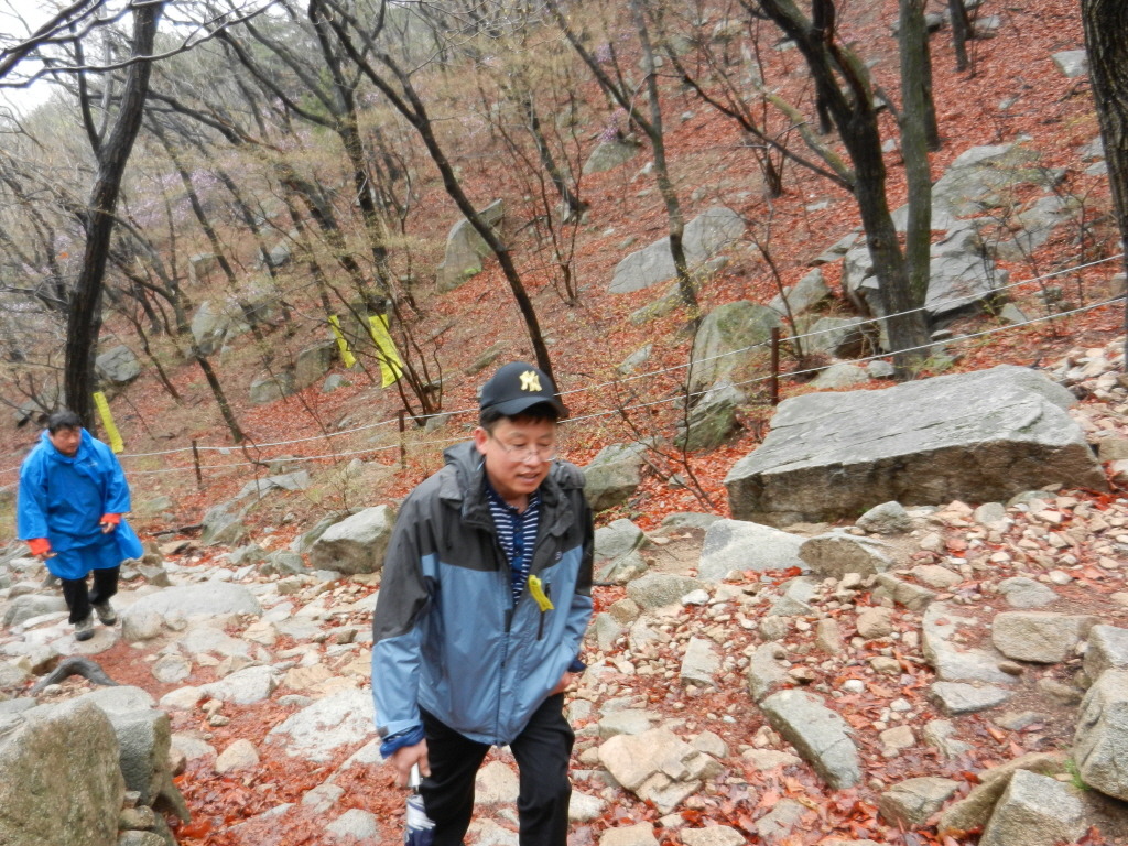 신일사 이미지