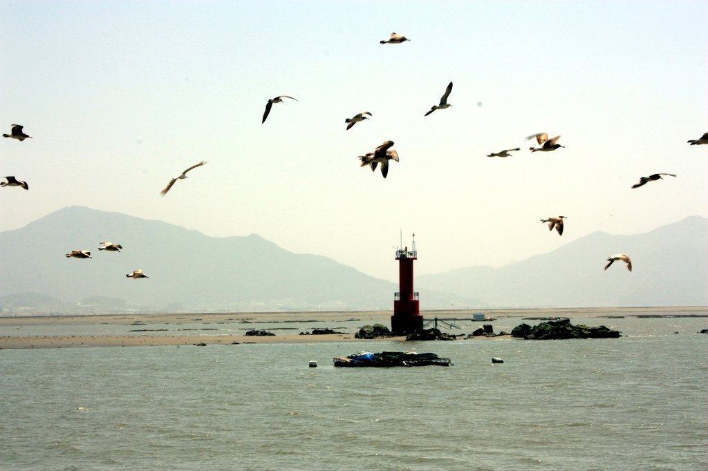 반도레포츠 이미지