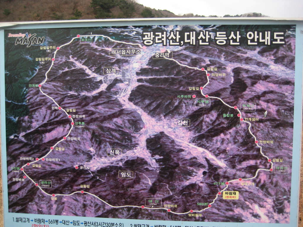 대산나무병원 이미지