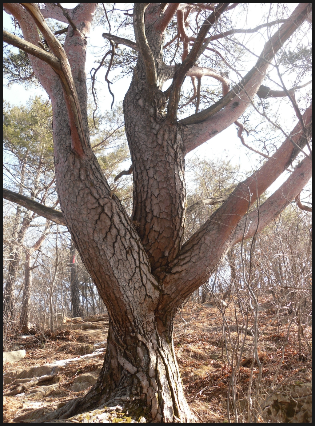푸른솔전기 이미지