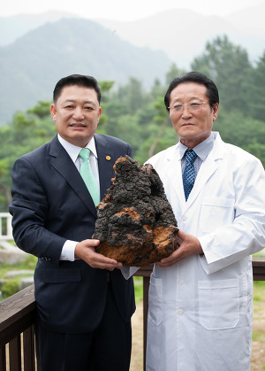 한국인삼차가 이미지