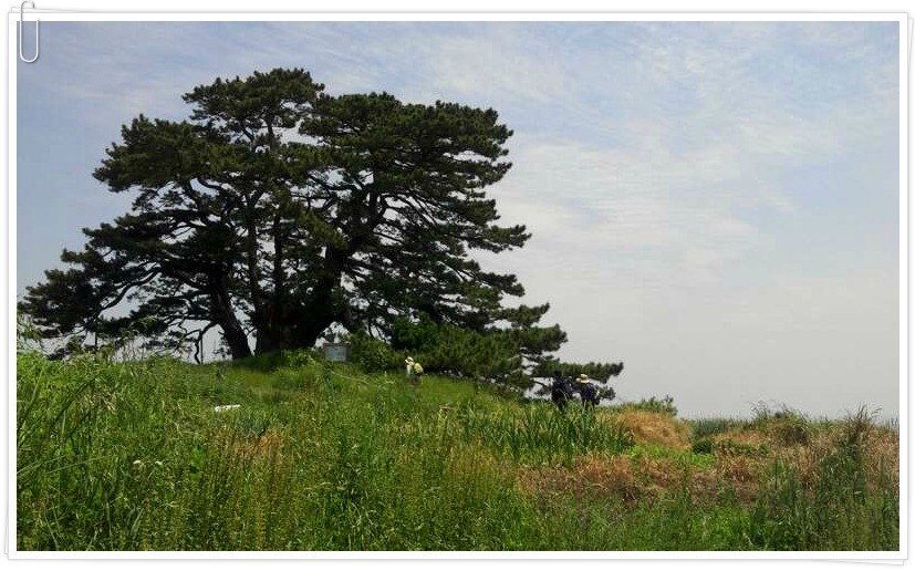 연화수산 이미지