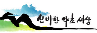 염주식품 이미지