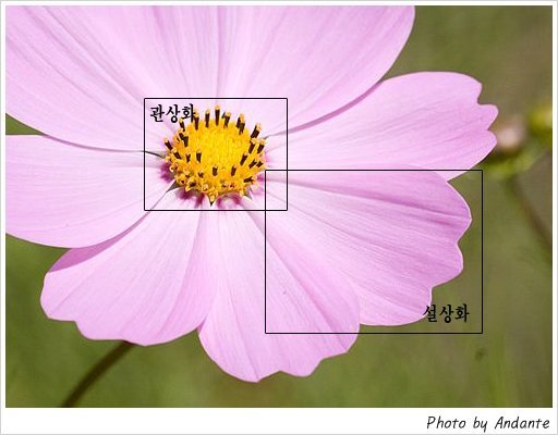 송이와다발 이미지