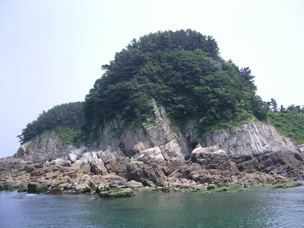 갈매기미소 이미지
