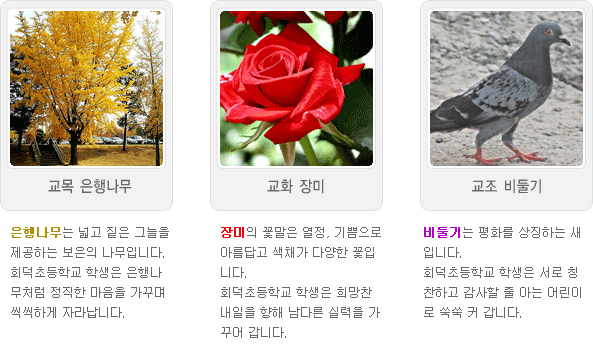 회덕초등학교 이미지