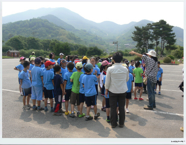 처음학교생태체험 이미지