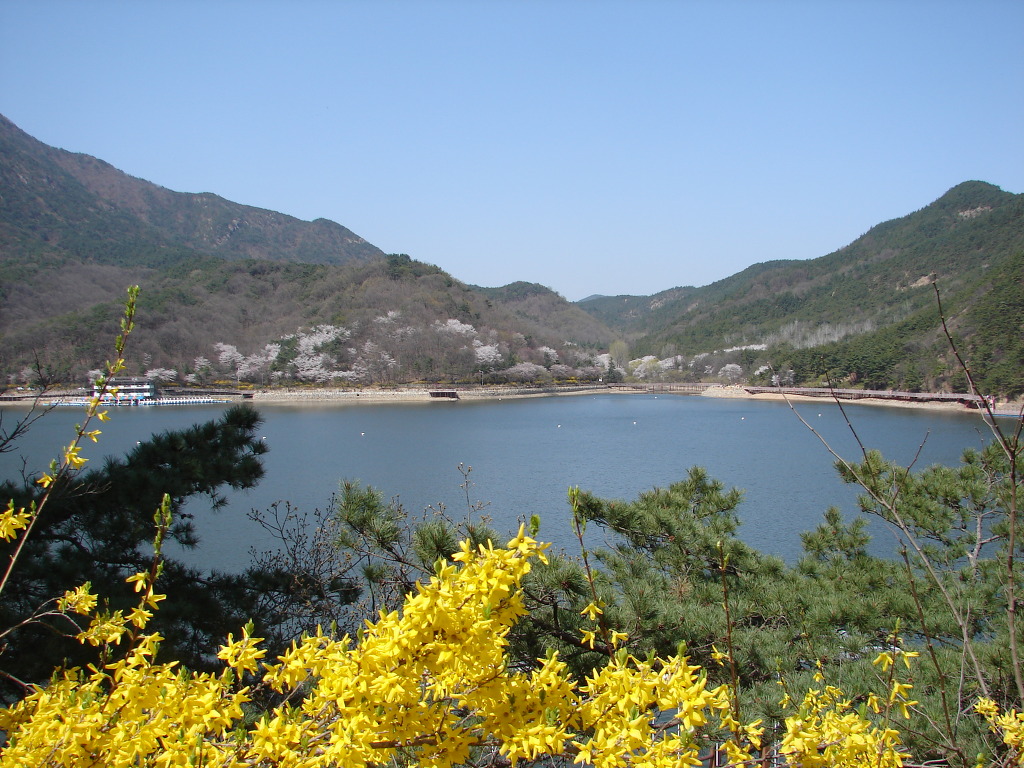 호연지기 이미지