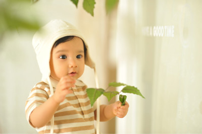아나스 이미지