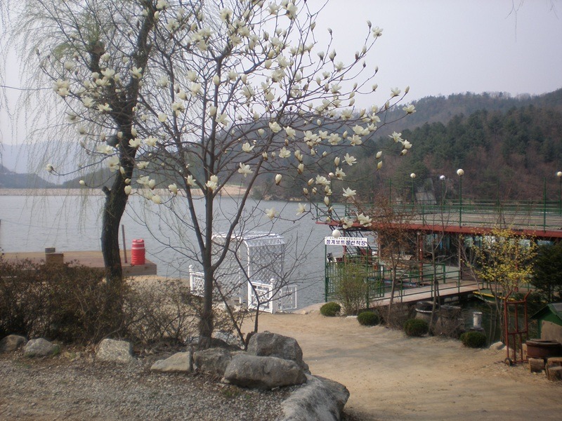 호수펜션 이미지