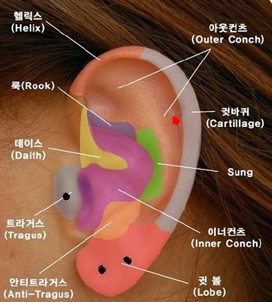 이쁜언니들 이미지