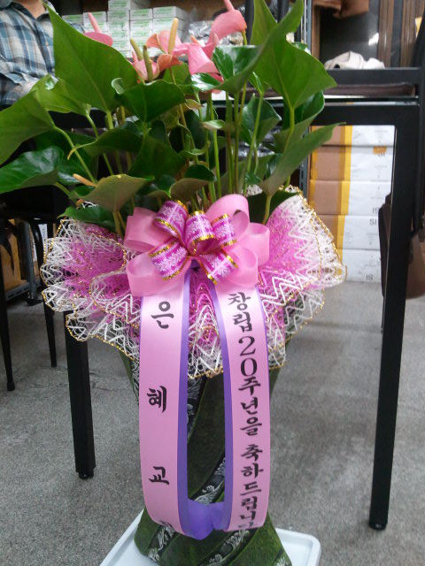 선인상사 이미지