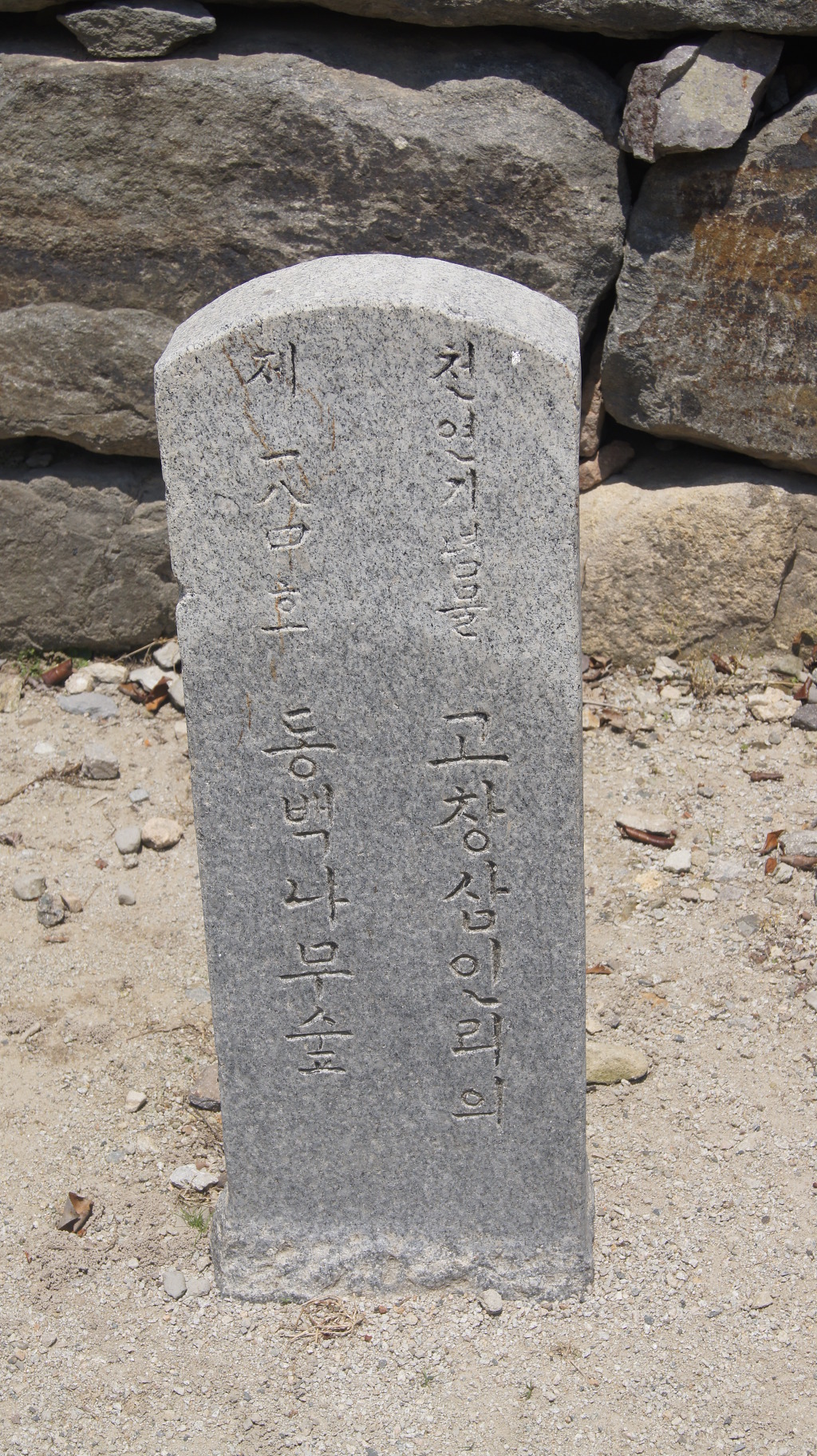 선운사풍천장어 이미지