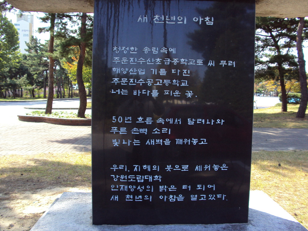 천년의아침 이미지