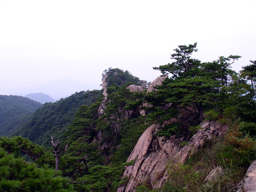 금수사 이미지