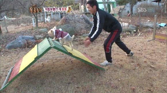[동물농장] 지팡이 짚고 걷는 심봉사 개 또또라오 | 인스티즈