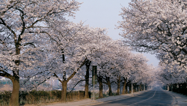 정읍한우 이미지