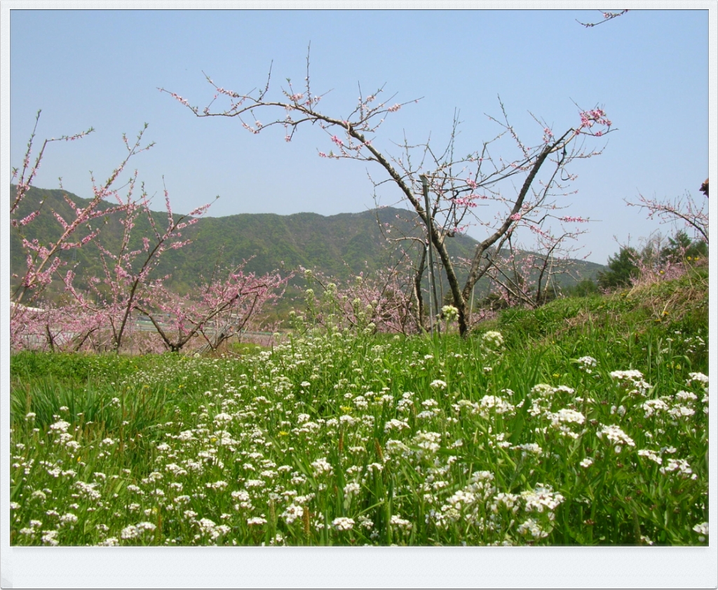 삼송농원 이미지
