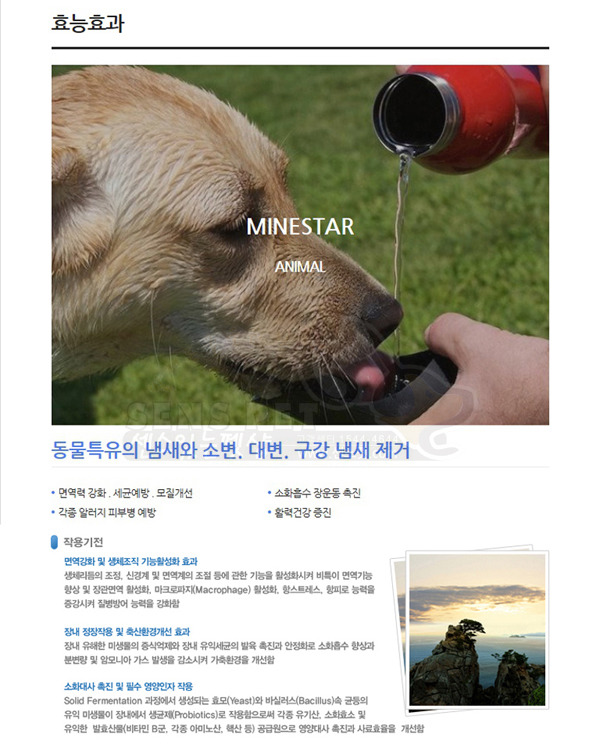 미네일 이미지