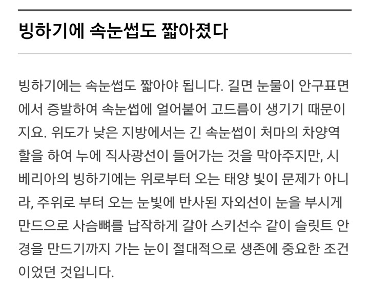 한국인의 얼굴 특징 | 인스티즈