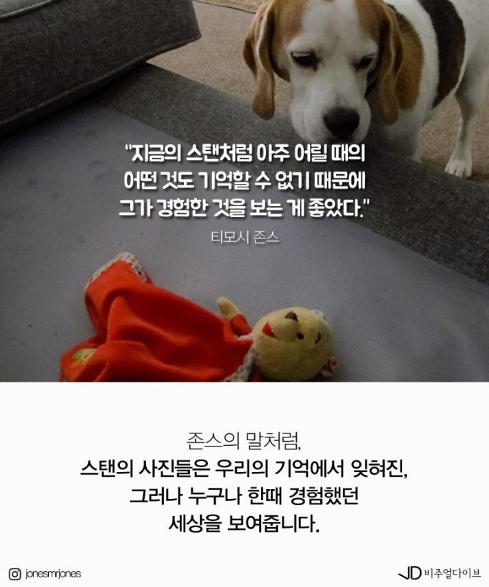 19개월 아기가 찍은 사진들 | 인스티즈