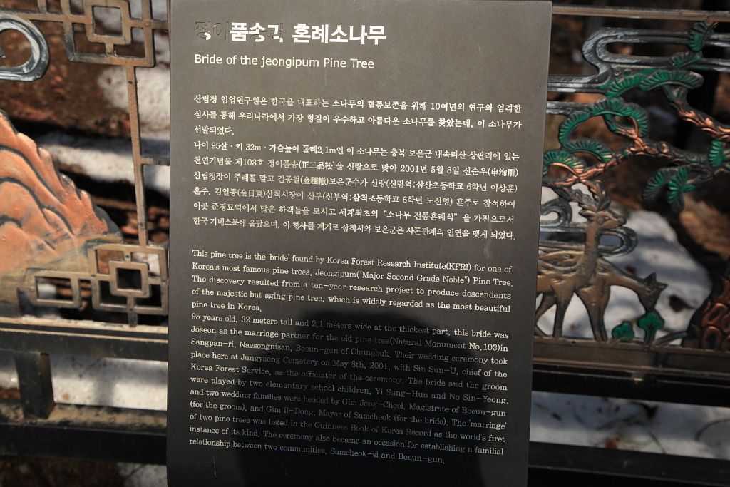 정이품 이미지