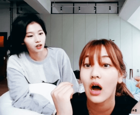 맴버들한테 뽀뽀해대는 사나 | 인스티즈
