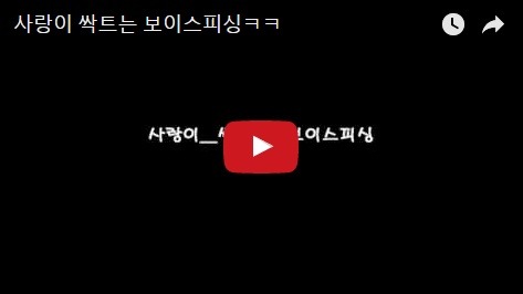 사랑이 싹트는 보이스 피싱 ㅋㅋㅋ | 인스티즈